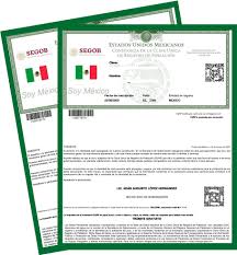Ejemplo de constancia de CURP